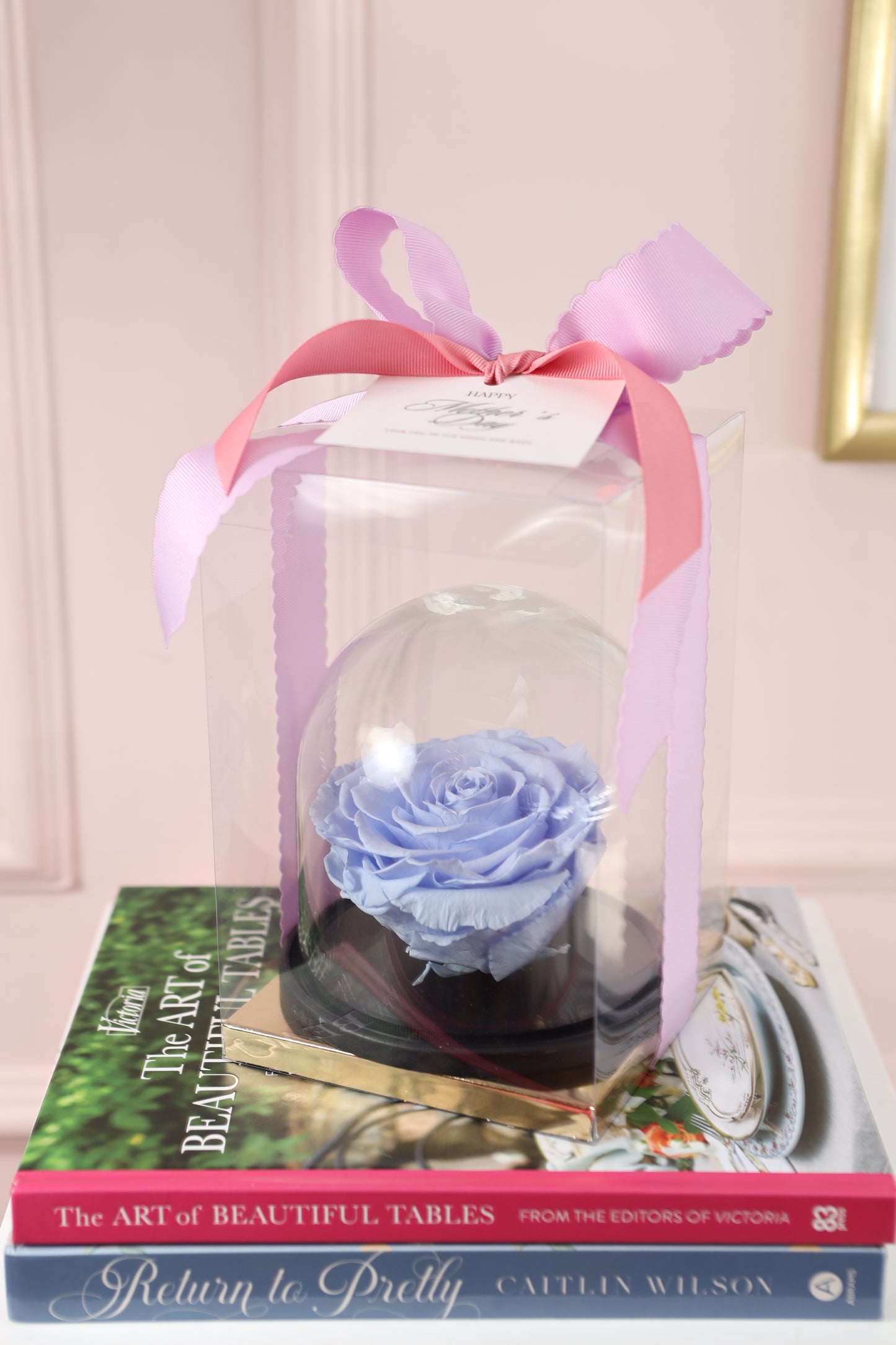Belle Cupula 5" con Rosa XXL Bonita Azul Celeste