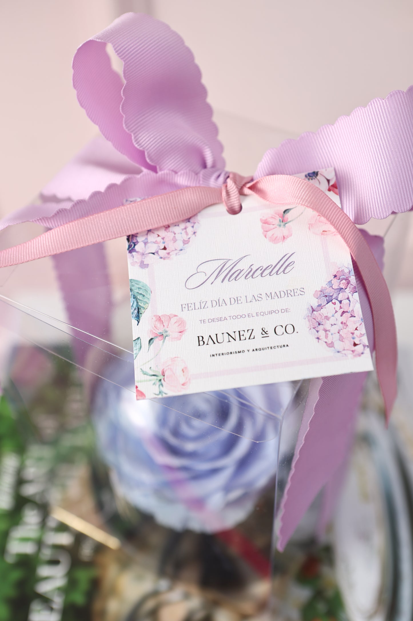 Belle Cupula 5" con Rosa XXL Bonita Azul Celeste