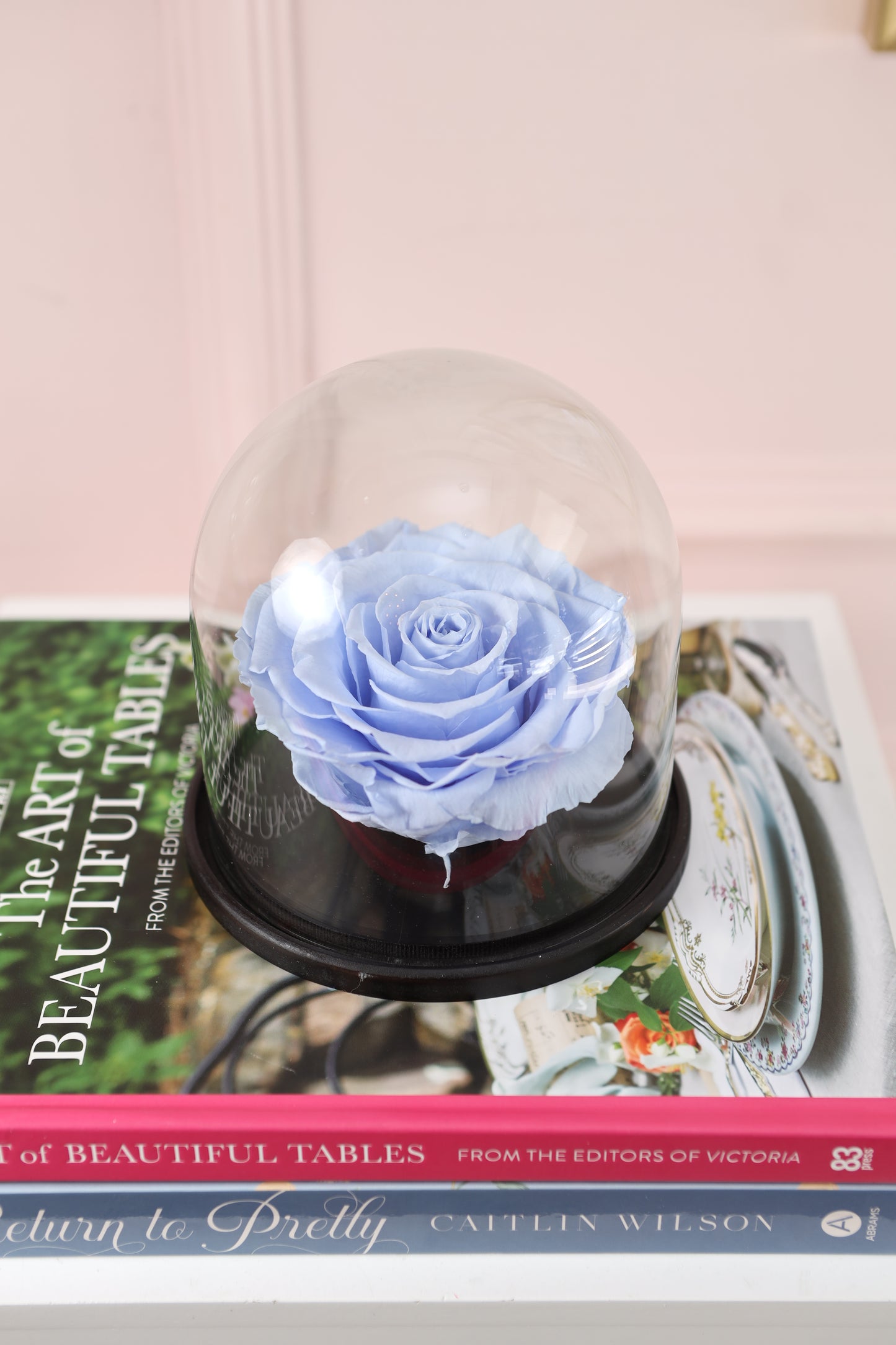 Belle Cupula 5" con Rosa XXL Bonita Azul Celeste