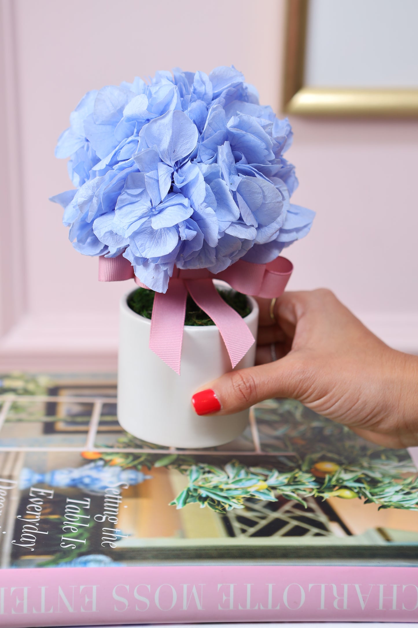 Kendall Vase 3" Mini Topiario Hortensias SPG24