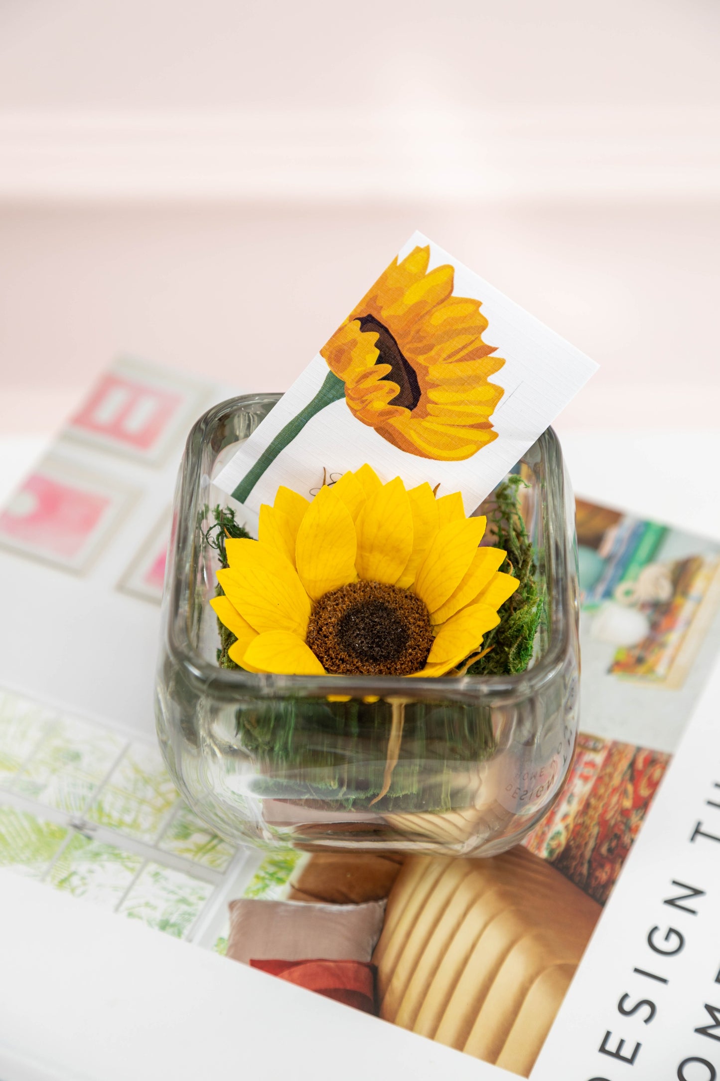 Almond 3" Girasol Premium