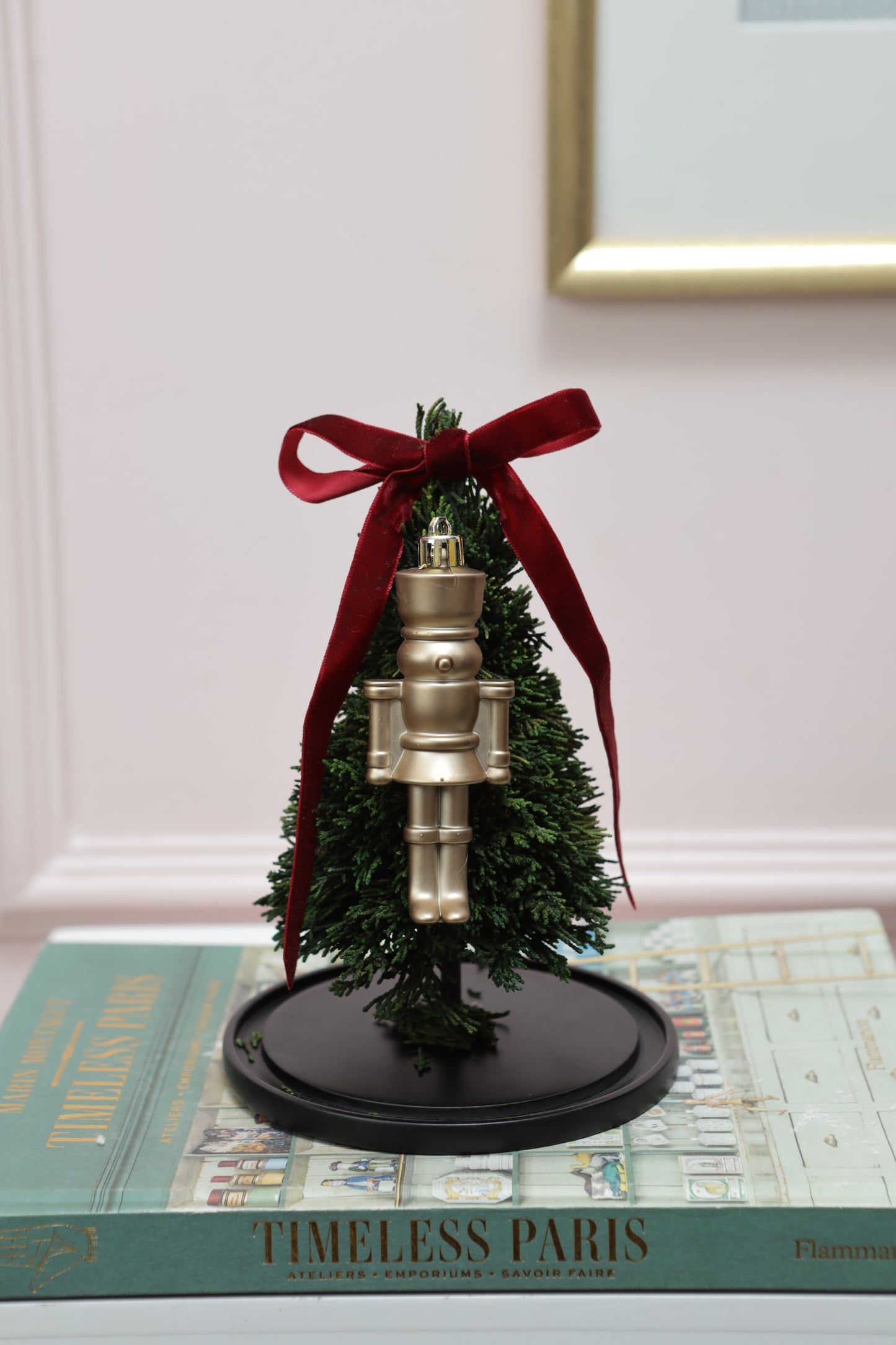 Domo 12" Mini Arbolito Ciprés Preservado