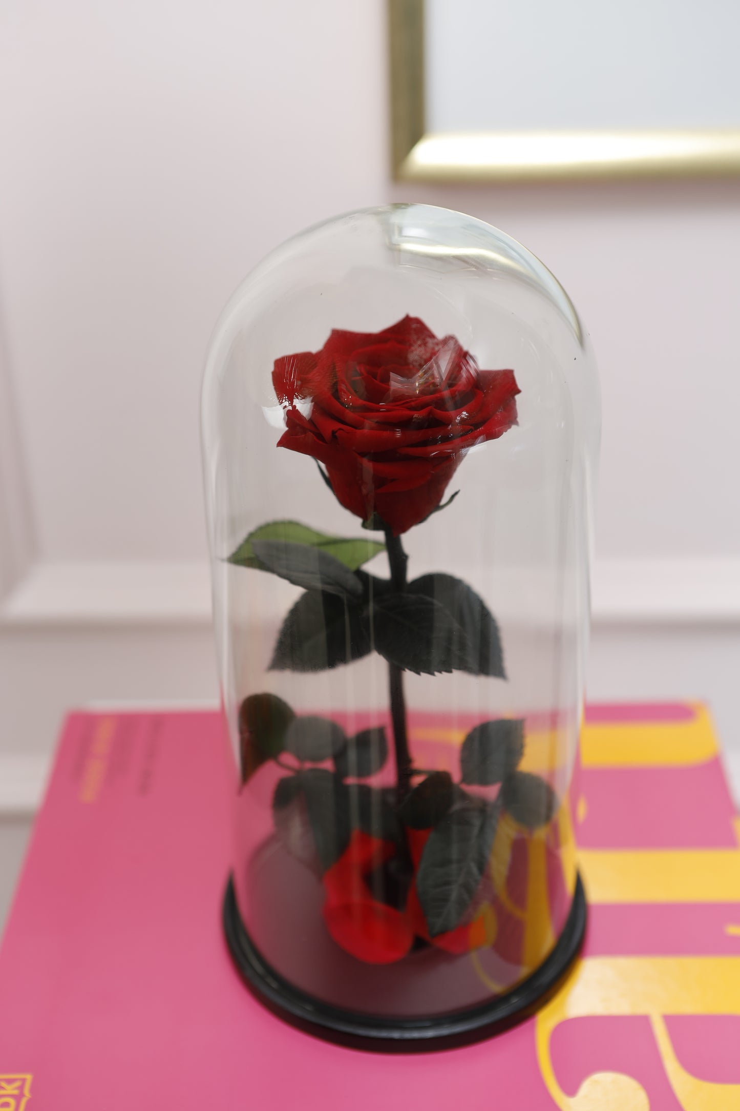 Domo Eva 12" con Rosa Premium con Tallo SV24