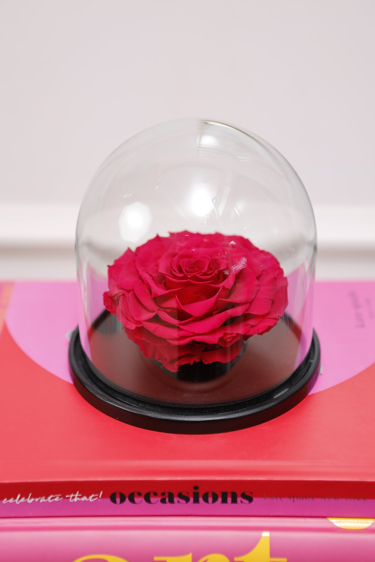 Domo Belle 4" con Rosa XXL Fucsia SV24