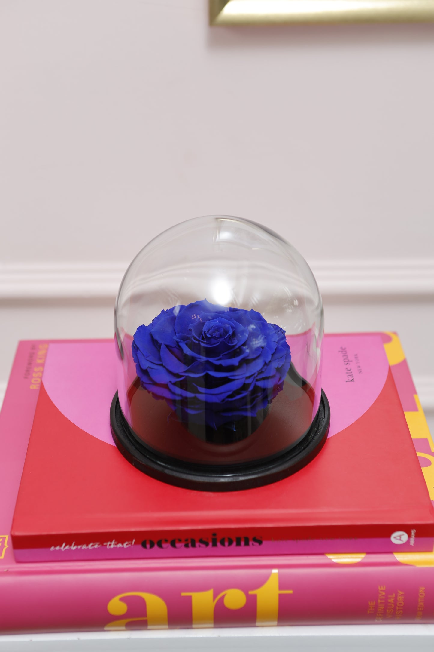 Domo Belle 4" con Rosa XXL Fucsia SV24