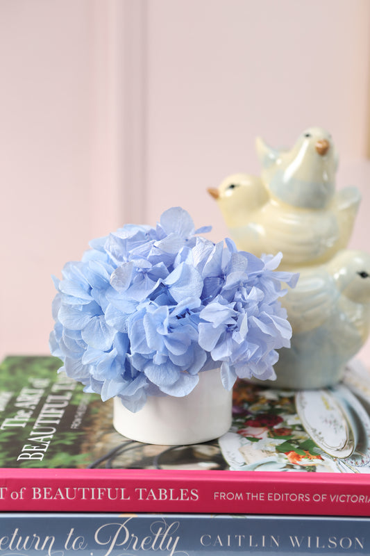 Brooklyn Vase 3" Puchero Mini Hortensias Cool Lavender