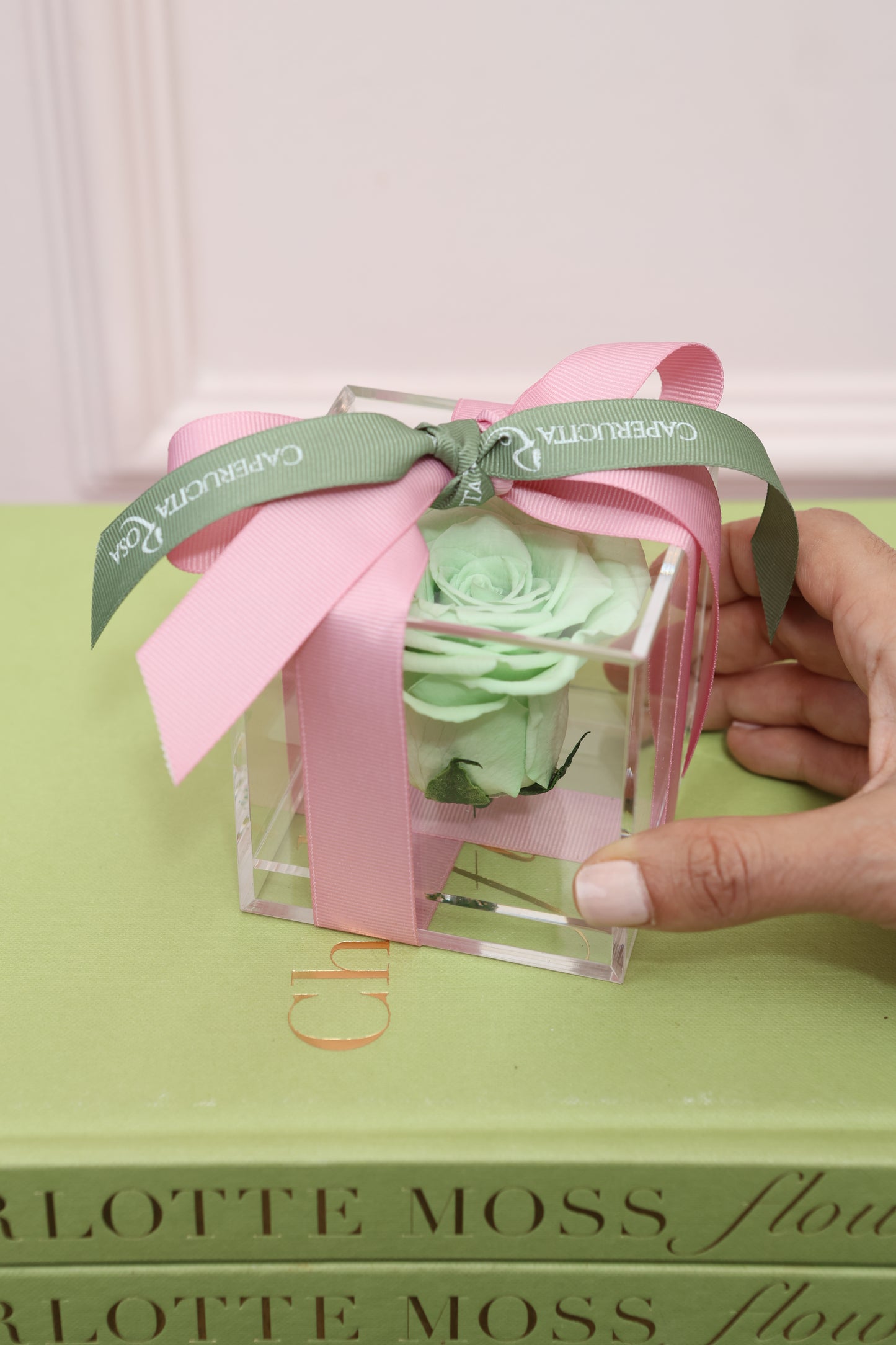 SPRING CUBE