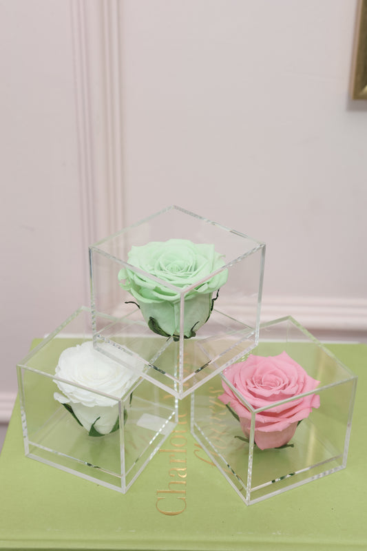 SPRING CUBE