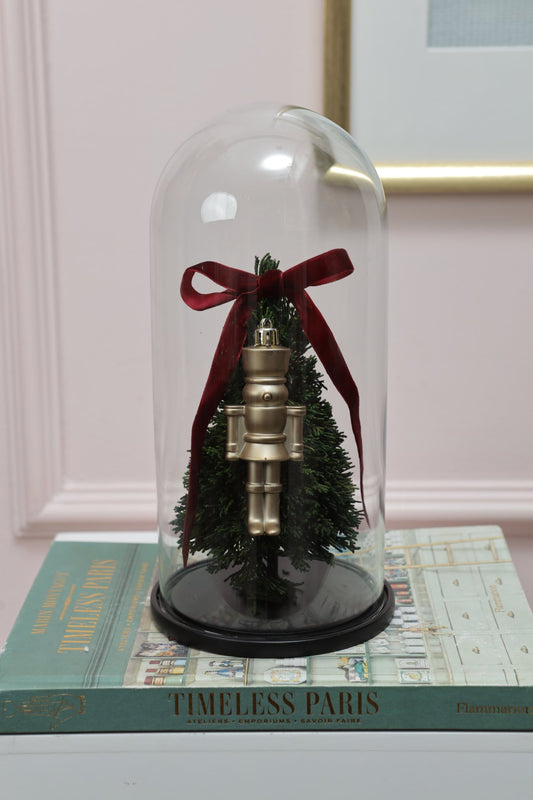 Domo 12" Mini Arbolito Ciprés Preservado