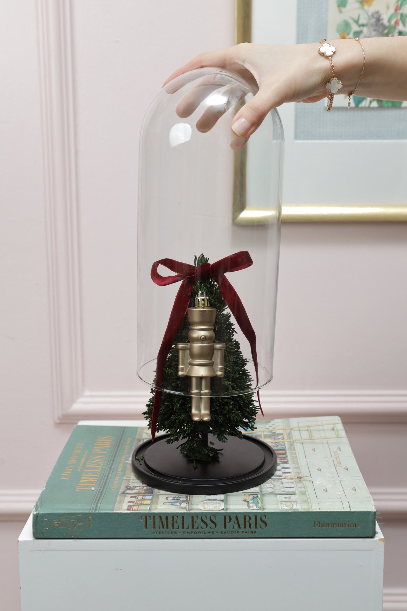 Domo 12" Mini Arbolito Ciprés Preservado