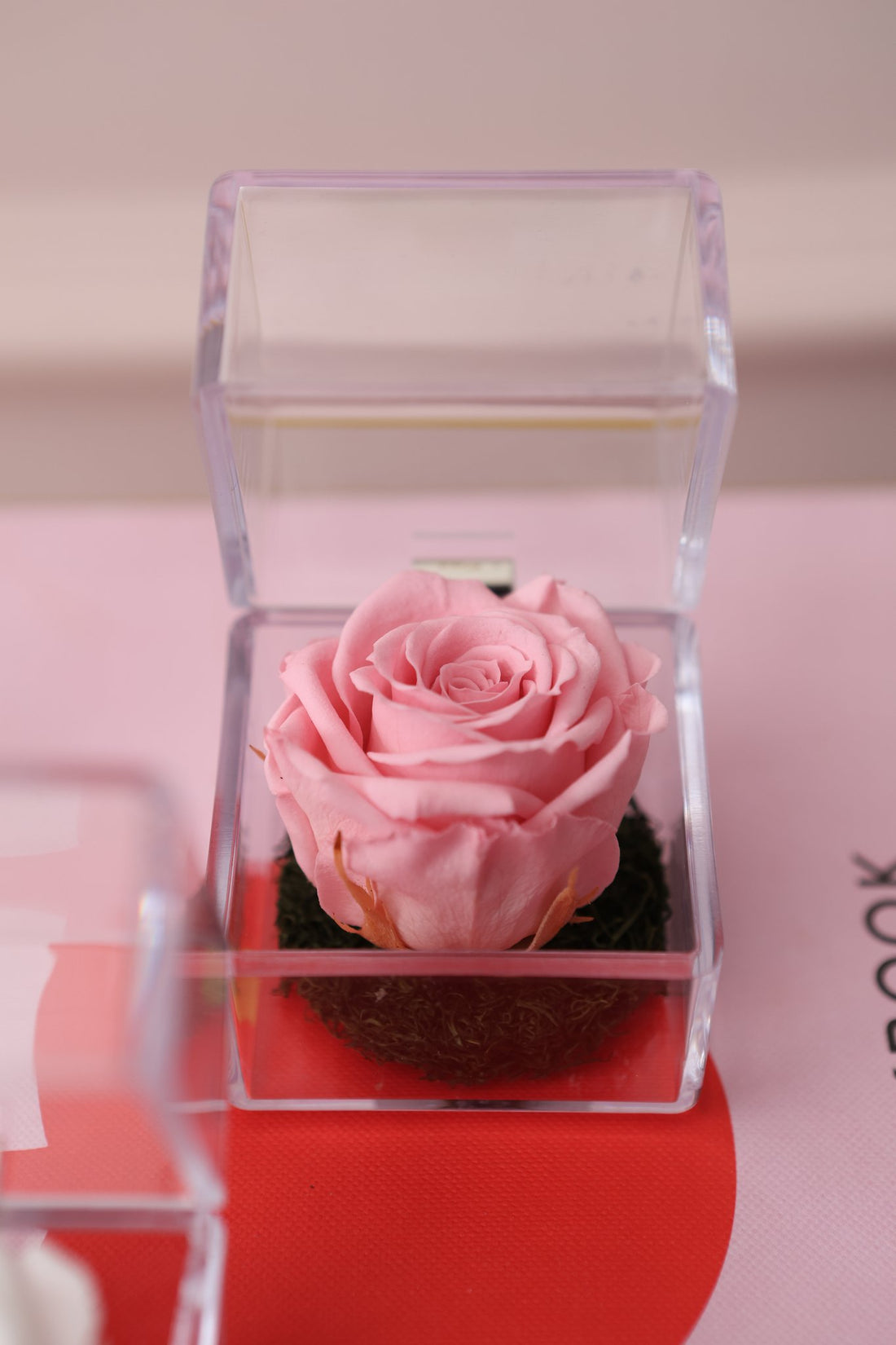 Mini Jewel Box – Caperucita Rosa
