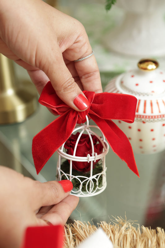 Mini Bird Cage Rosa Clásica o de Jardín Small