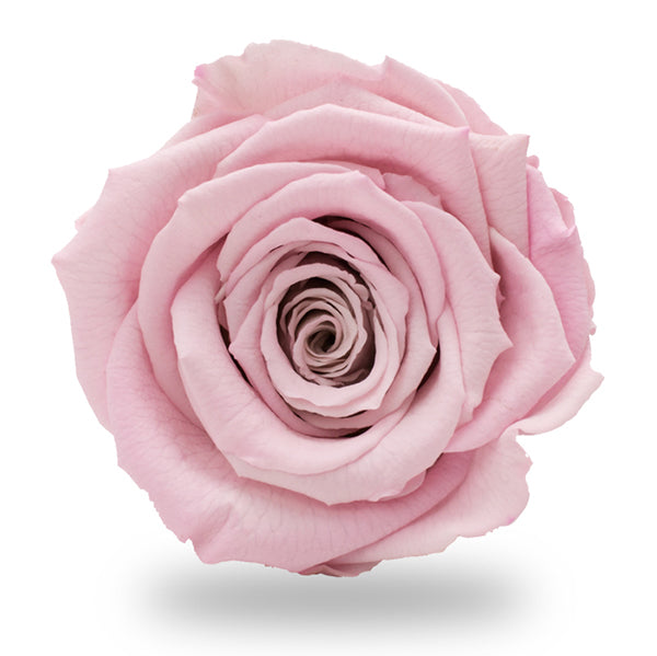 Round Flower Box 3" con rosa Premium Réflex